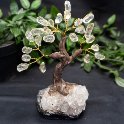 Medium Quartz Crystal Tree
