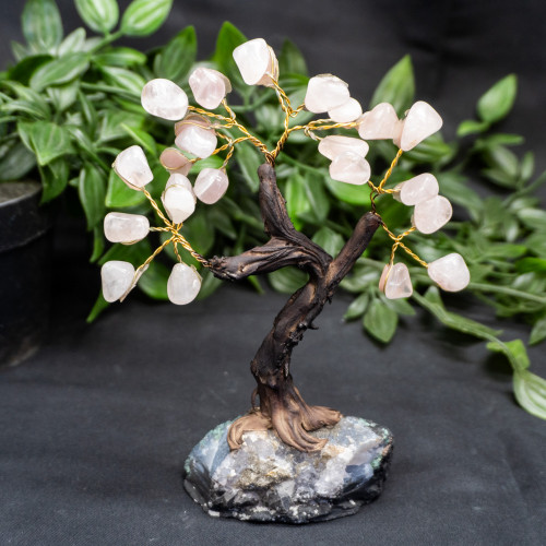 Medium Rose Quartz Crystal Tree