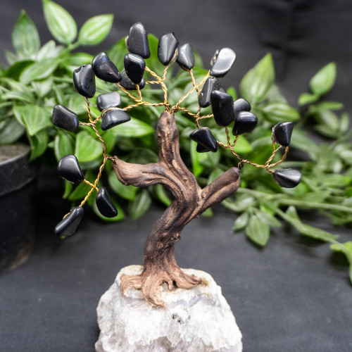 Medium Black Tourmaline Crystal Tree