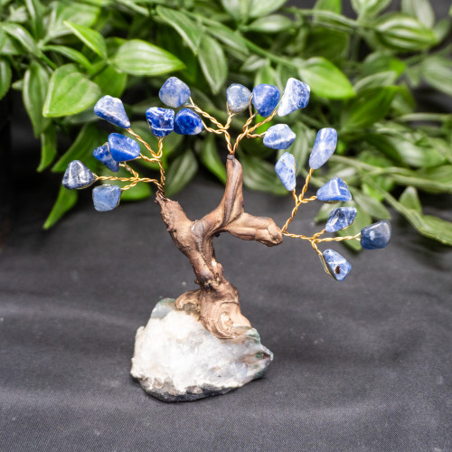 Small Sodalite Crystal Tree