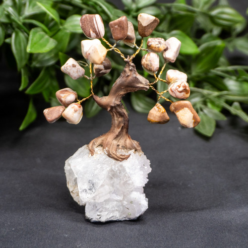 Small Nguni Jasper Crystal Tree