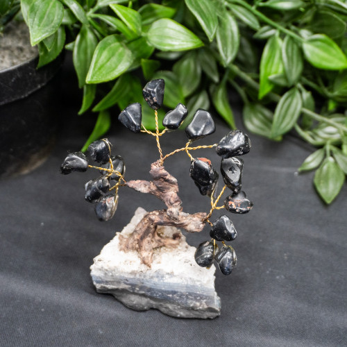 Small Black Tourmaline Crystal Tree