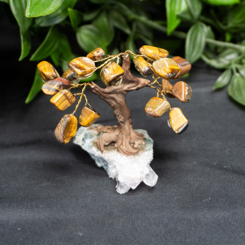 Small Tiger Eye Tree