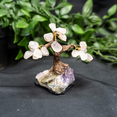 Small Rose Quartz Tree