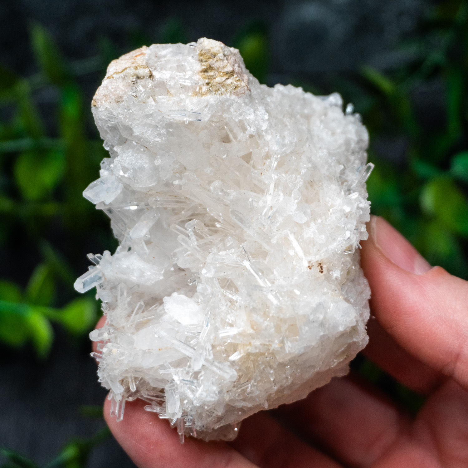 Colombian Quartz #16 - The Crystal Council