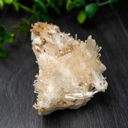 Colombian Quartz #9