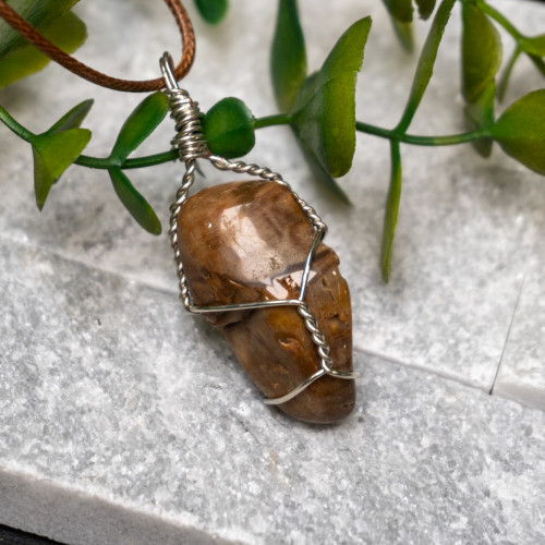 Petrified Wood Wire Wrap #3
