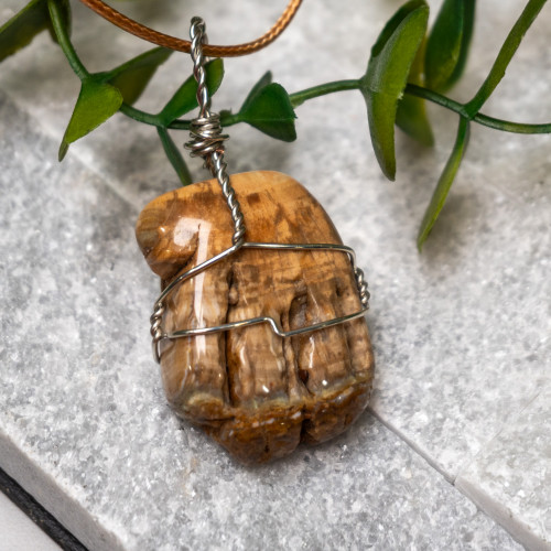 Petrified Wood Wire Wrap #1