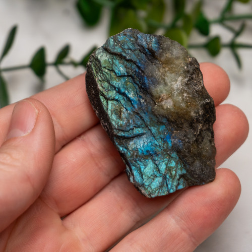 Labradorite Half Polished #14