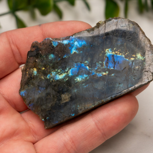 Labradorite Half Polished #12
