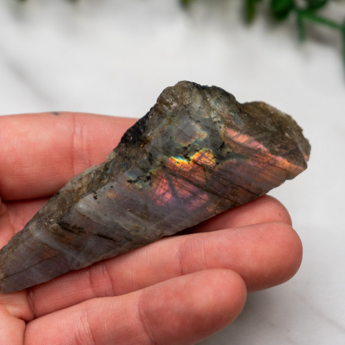 Labradorite Half Polished #8