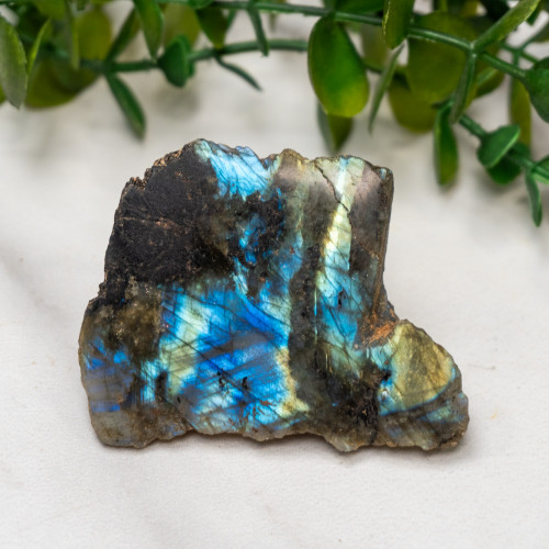 Labradorite Half Polished #5