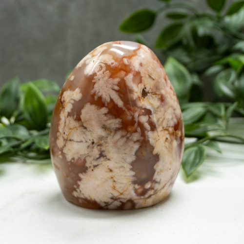 Flower Agate Medium Freeform