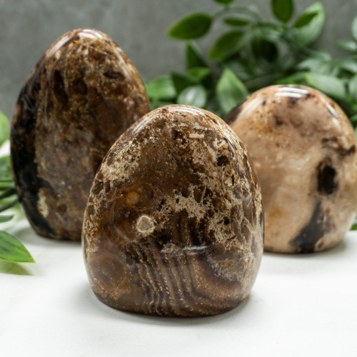 Black Opal Medium Freeform