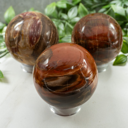 Petrified Wood Sphere Medium