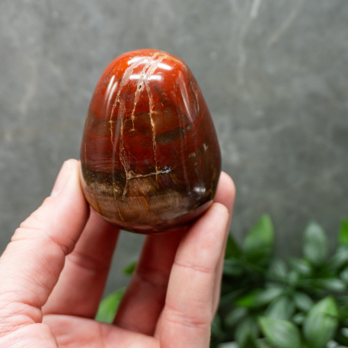 Petrified Wood Medium Egg