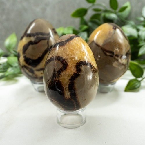 Septarian Medium Egg