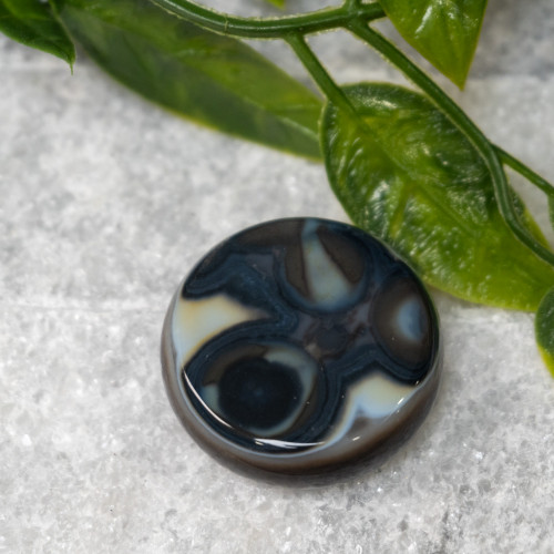 Black Agate Polished #14
