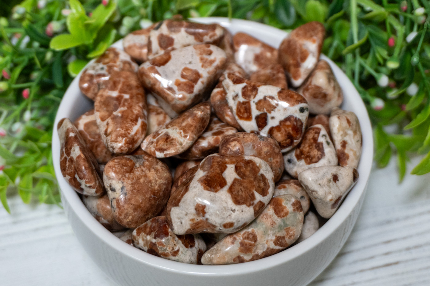 Garnet in Wollastonite