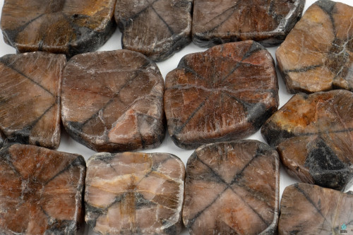 Chiastolite