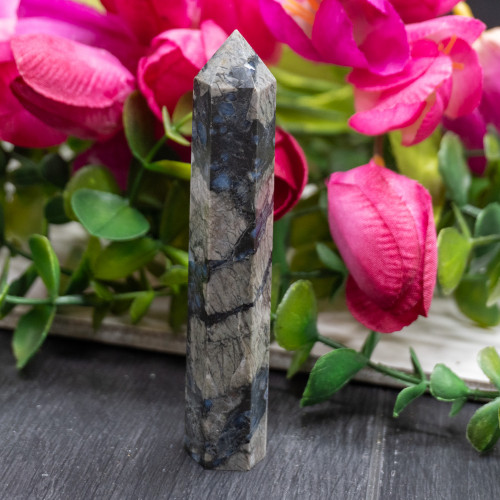 Galaxy Rhyolite Tower #1