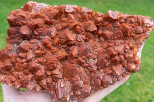 Red Quartz