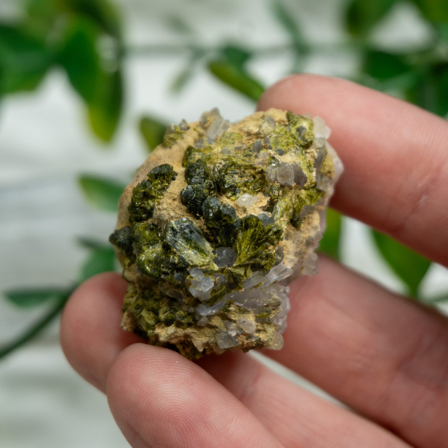 Raw Epidote with Quartz #2 - The Crystal Council
