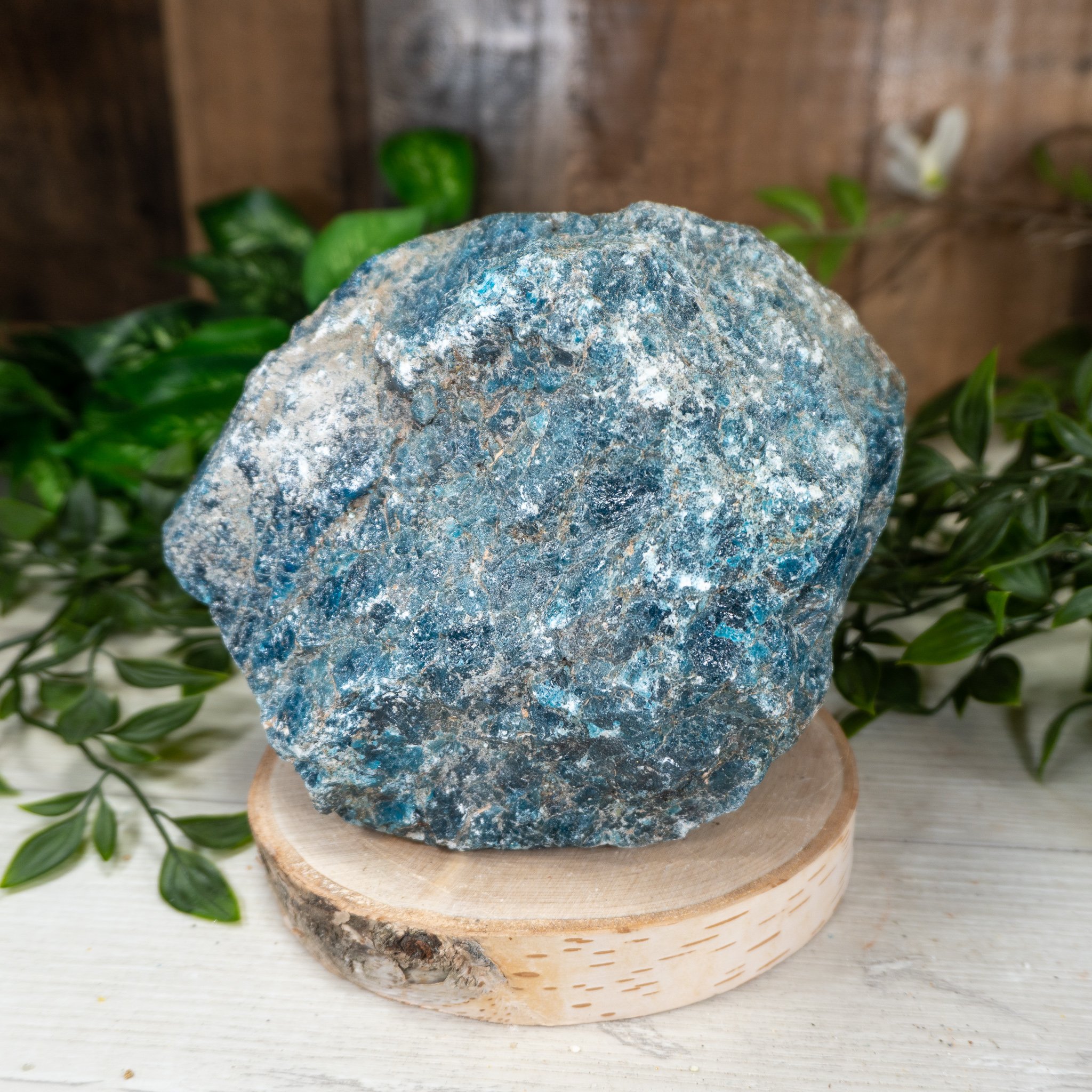 Large Raw Blue Apatite #2