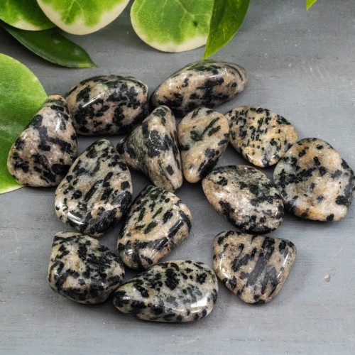 Guinea Fowl Quartz Tumbled