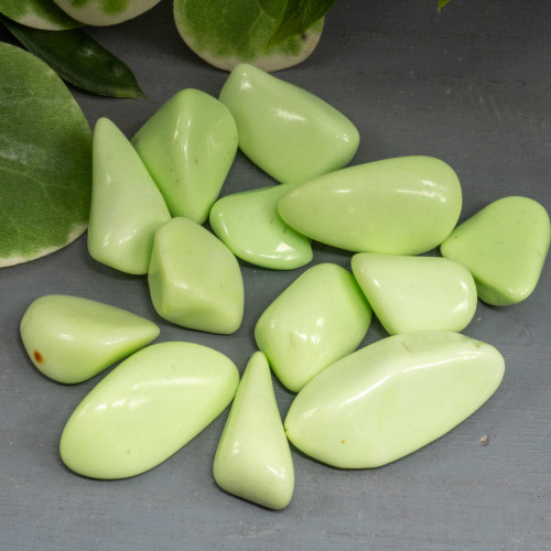 Lemon Chrysoprase Tumbled
