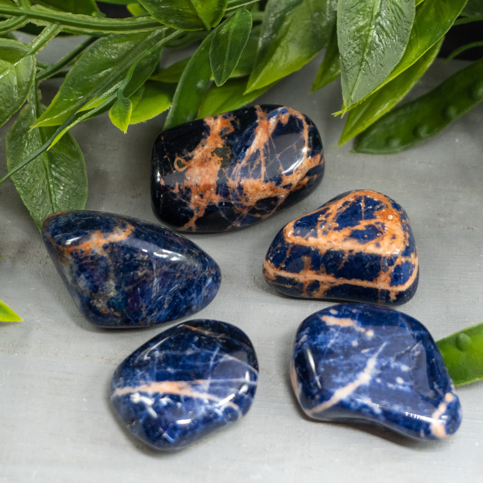 Sunset Sodalite Tumbled