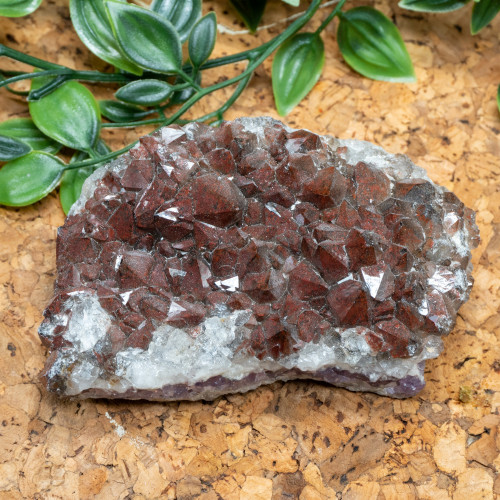 Auralite-23 #8