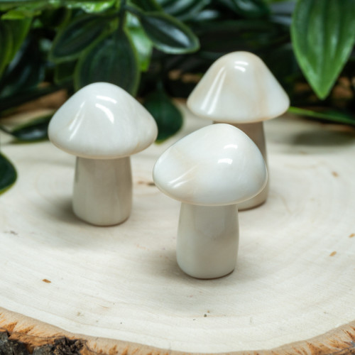 Random White Jade Mushroom