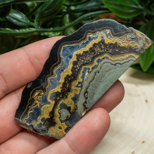 Schalenblende #1