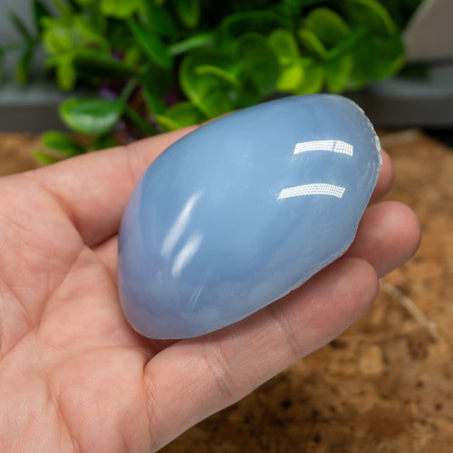 1/2 Polished Blue Chalcedony Palmstone #1
