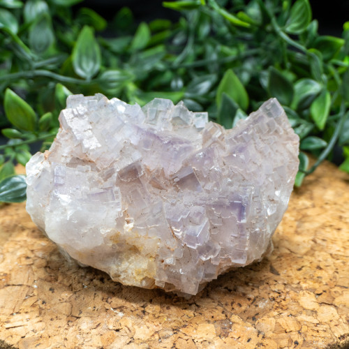 XL Purple Fluorite #9