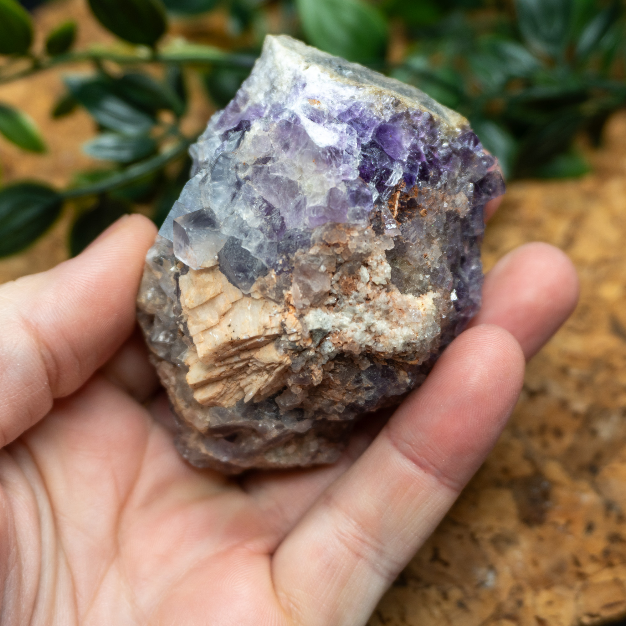 Purple Fluorite #8 - The Crystal Council