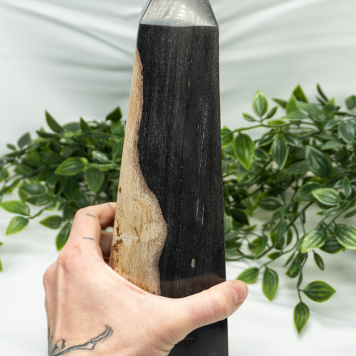 XL Petrified Wood Obelisk #2
