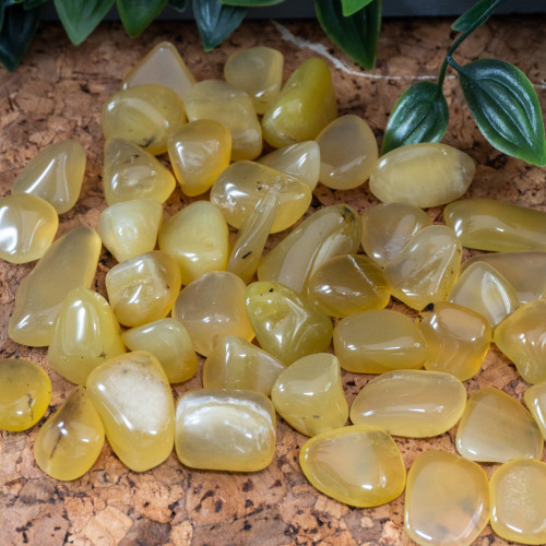 Yellow Opal Tumbled