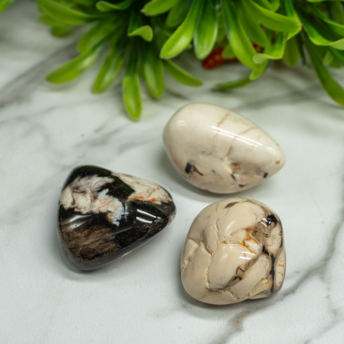 XL Peanut Wood Tumbled