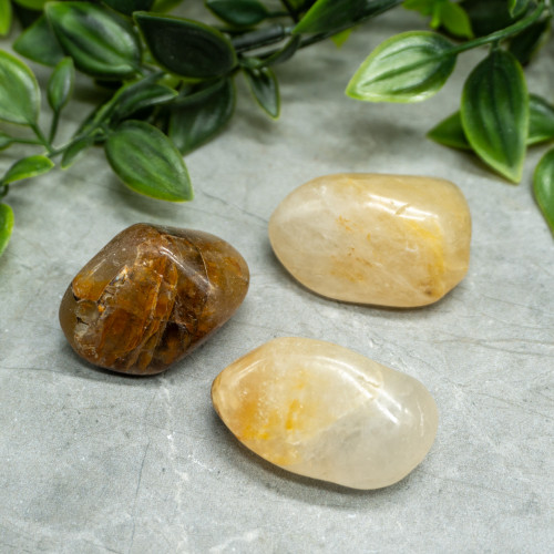 XL Golden Healer Quartz Tumbled