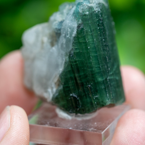 Green Tourmaline on Base #1
