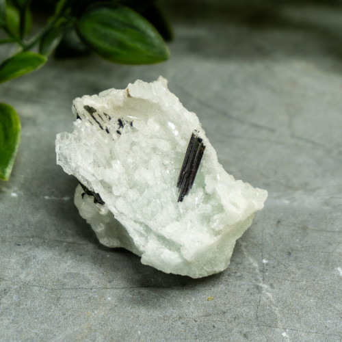 Tourmaline in Clevelandite #1