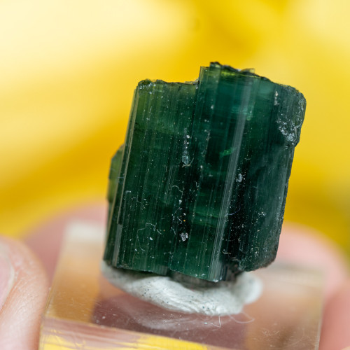 Blue & Green Tourmaline on Stand