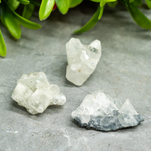 Small Random Apophyllite