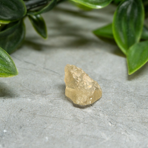 Libyan Desert Glass #8