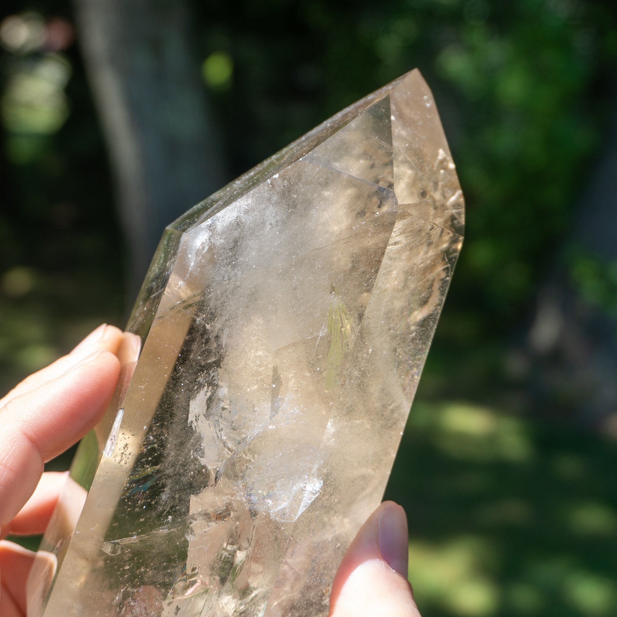 citrine energy muse citrine energy muse