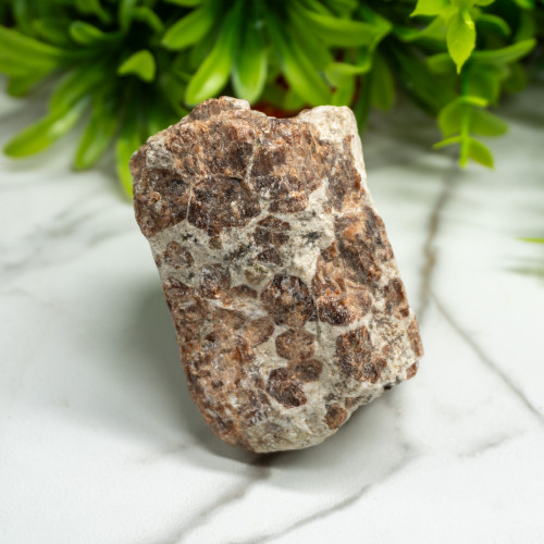 Raw Garnet in Wollastonite #1