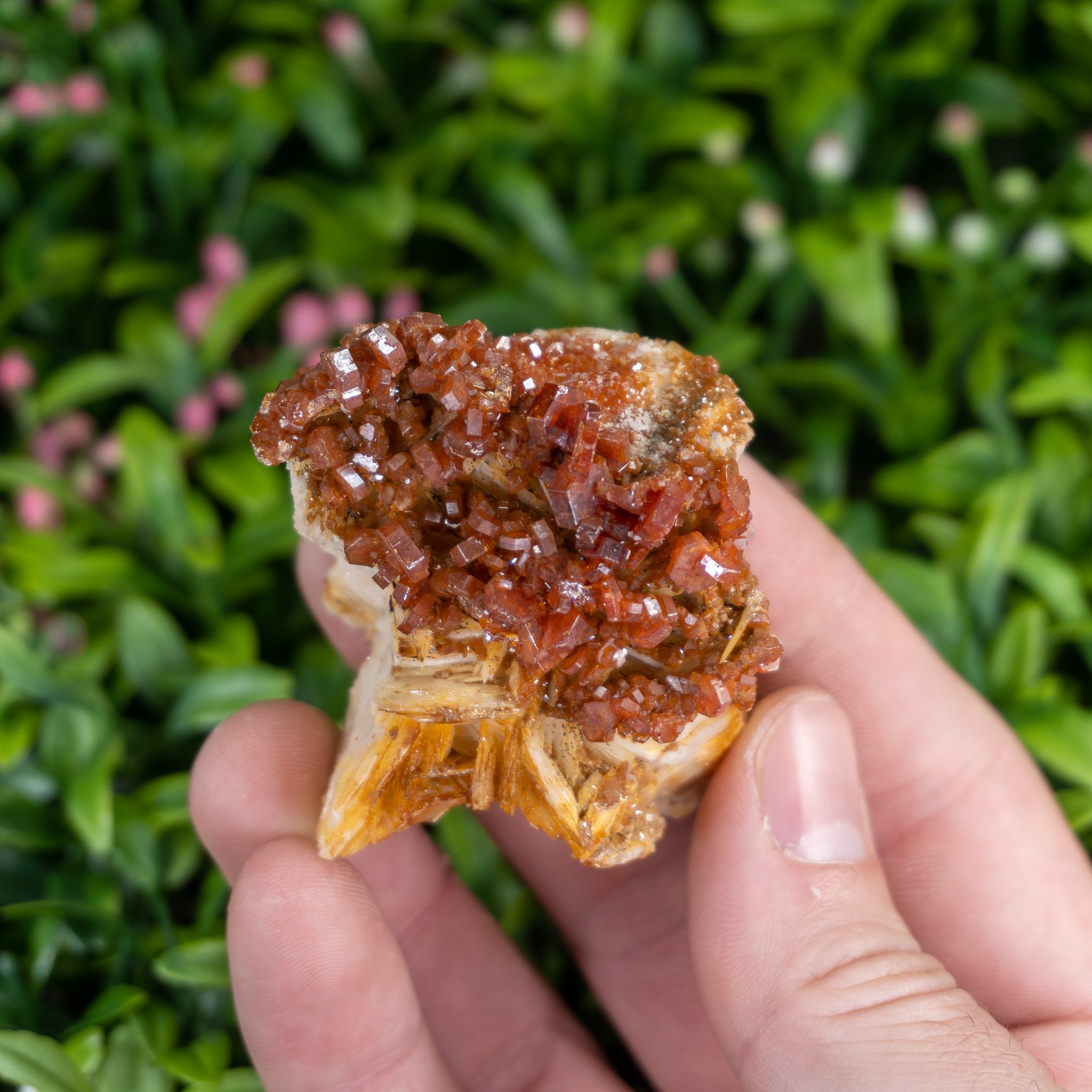 Small Vanadinite over Barite