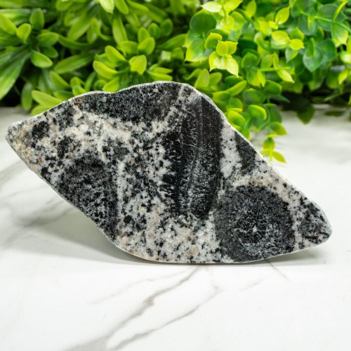 Orbicular Granite #1